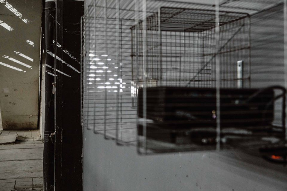 biennale v belgië 3